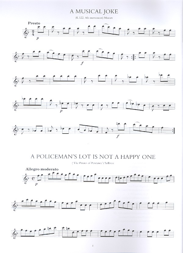 100 Classical themes for flute Die Holzbläser