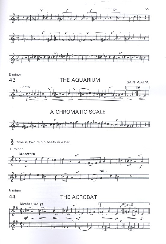 Wye, Practice book for the flute 2 Die Holzbläser